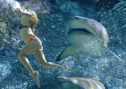 0-shark-attack-girl.jpg