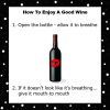 how_to_enjoy_a_good_wine2.png