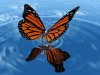 15324669-the-beautiful-butterfly-with-wings.jpg