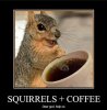 Squirrels-and-Coffee.jpg