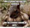 frabz-WHY-STEROIDS-ARE-BAD-FOR-SQUIRRELS-uHH-The-steroids-shrunk-my-nu-bc50de.jpg