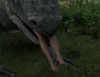 hiker_eaten_by_vorebeast-d5iznw0.png