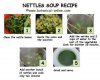 nettles-soup-recipe-instructions.jpg