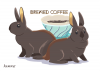 bunday019e_brewedcoffee.png