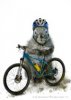 mountain biking squirrel.jpg