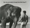 funny-elephant-how-do-you-breath-through-that-little-thing.jpg