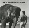 funny-elephant-how-do-you-fuck-with-that-big-thing.jpg