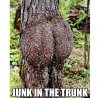 junk-trunk-tree.jpg