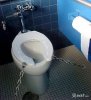 db toilet 2.jpg