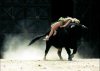 woman-bull01.jpg