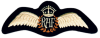 RAF-Sticker.png
