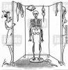 medical-trick-joke-practical_joke-prank-skeleton-35700069_low.jpg