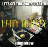 funny-cat-happy-birthday-party-wishes-gif.gif