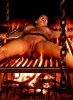 hogtied-and-grilled.jpg