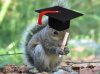 educatedsquirrel.jpg