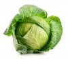 cabbage-07.jpg