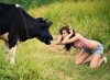 sexy-girl-faces-off-with-cow.jpg