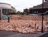 Tunick-Montreal.jpg