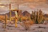 Madiosi 2017-078-desert crux.jpg