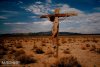 Madiosi 2017-079-desert crux.jpg