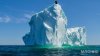 Madiosi 2017-085-kate iceberg2.jpg