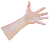 hand001.png