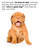 and-god-said-let-there-be-dog-and-there-was-5631625.png