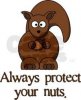 Protect-Your-Nuts.jpg