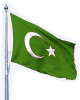 flag-uday01.png