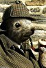Sherlock-Holmes-Squirrel--44828.jpg