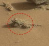 Mars surface jpg.png