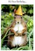 birthday-squirrel3.jpg