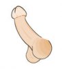 human-penis-sketch-white-background-45779616.jpg