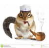funny-animal-sailor-squirrel-tobacco-pipe-mariner-hat-62400568.jpg
