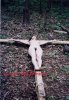 Raevyn stretched on the Cross.jpg