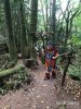 Madiosi2017-332-Puzzlewood.jpg