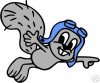 rocky-flying-squirrel.jpg