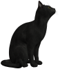 Black_Cat_PNG_Clipart-552.png