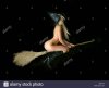 naked-halloween-witch-flying-on-a-broom-stick-AMY77R.jpg