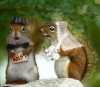 Squirrel-Wedding--42898.jpg