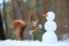 Squirrel snowman.jpg