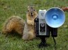 squirrel_photographer.jpg