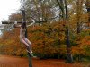 x5 Heliogabalus Alice in autumn.jpg