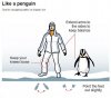 walk like a penguin.jpg