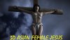 3d_asian_female_jesus_thumbail_by_passionofagoddess-dc68c79.jpg