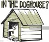 Doghouse.jpg