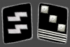 HH-SS-Hauptsturmfuhrer-Collar.png