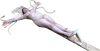 Vivian-Crucified020.png.png