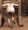 In the Pillory 1.jpg