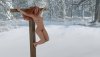 winter_games_by_loum_rote_dcrmhgu-fullview.jpg